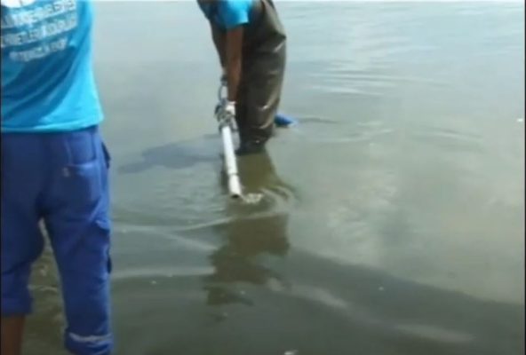 Pumping of Algae Bloom from shallow water
